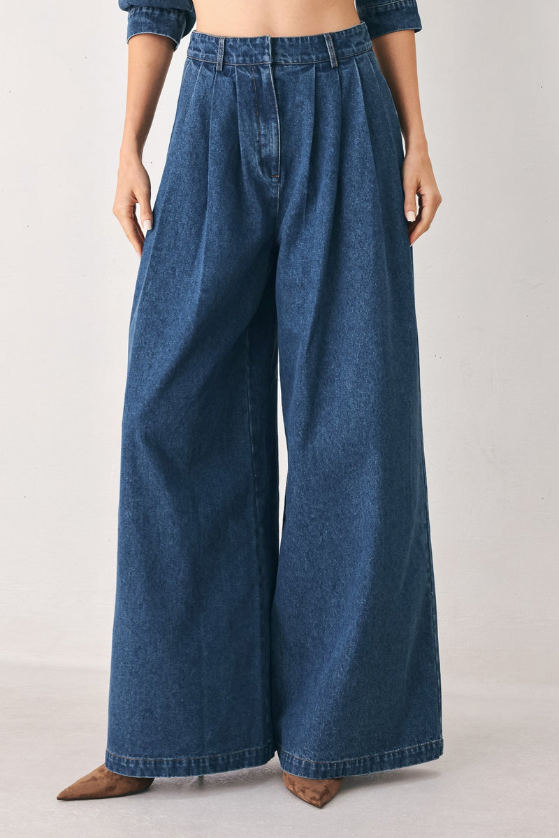 Women's High-Rise Pleated Wide-Leg Jeans