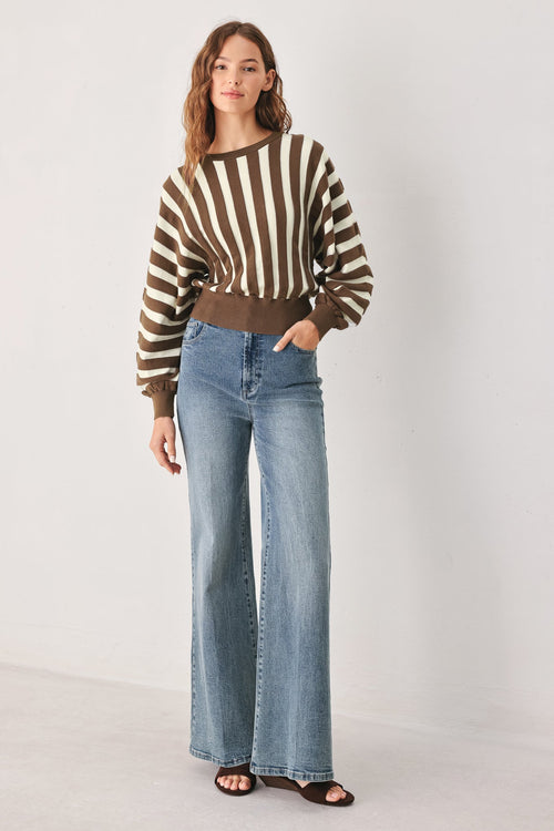 Cappuccino Vertical Stripe Knit Sweater Top